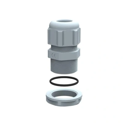 Abbildung von Verschraubung IP 68 M20 98003