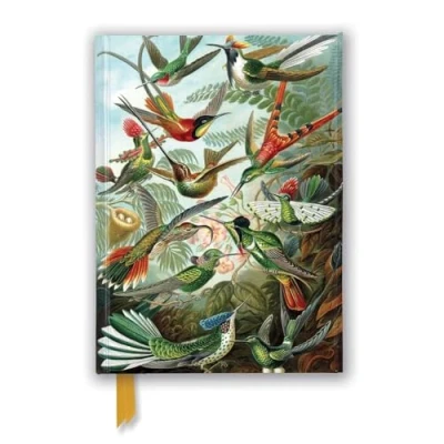 Abbildung von Ernst Haeckel Hummingbirds Notebook (Flame Tree Notebooks): Unser hochwertiges, liniertes Blankbook mit festem, künstlerisch geprägtem Einband und ... Notizbuch DIN A 5 Magnetverschluss)