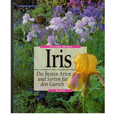 Abbildung von Iris: Die besten Arten und Sorten für den Garten