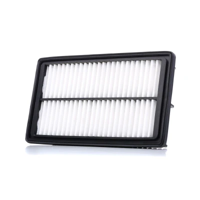 Abbildung von Luftfilter KAMOKA F238501