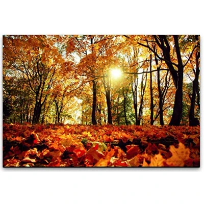 Abbildung von bestforhome 90x60cm Leinwandbild Herbst Wald mit bunten Blättern Leinwand auf Holzrahmen