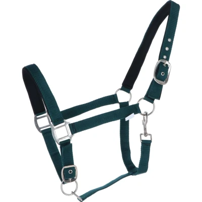 Abbildung von HKM Halfter Charming Weich Unterlegt Hunting Green Pony