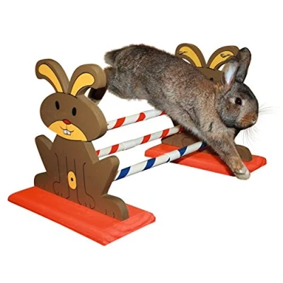 Abbildung von Kerbl Agility Nagerhürde 62x33x34cm