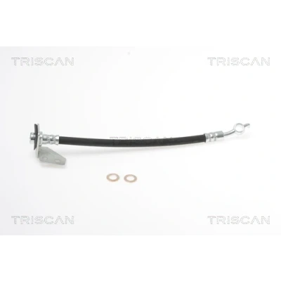 Abbildung von TRISCAN 8150 18221 Bremsschläuche 262 F10x1 KIA: CARENS 3, 2