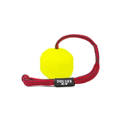 Abbildung von Julius K9 Silikonball an Schnur, neon, ø 6 cm, glatt
