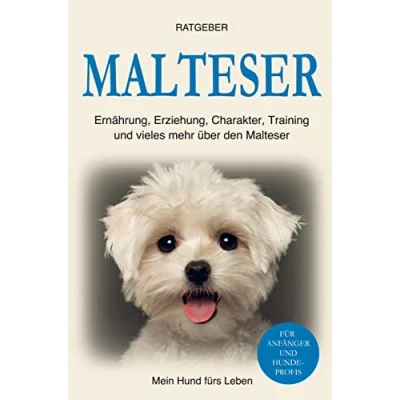 Abbildung von Malteser: Erziehung, Ernährung, Training, Charakter und einiges mehr über den Malteser