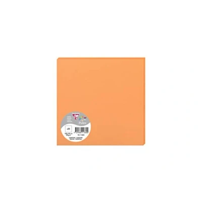 Abbildung von Clairefontaine 1136C Packung (mit 25 Karten Pollen 160 x 160mm) 210g, clementine