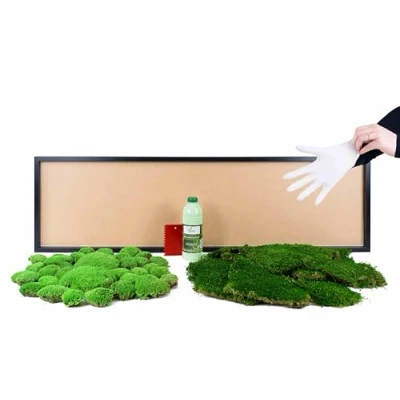 Abbildung von Moos Design Bild DIY Moosbild mit 50 % Kugelmoos und Flachmoos