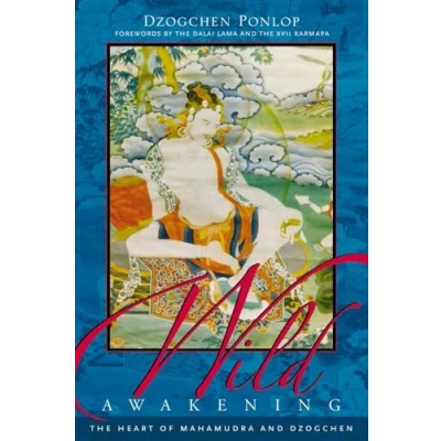 Abbildung von Wild Awakening: The Heart of Mahamudra and Dzogchen