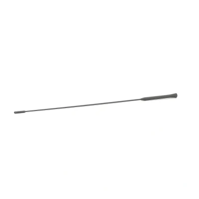 Abbildung von AIC 53911 Antenne FORD: Transit Connect Mk1 Kastenwagen, KUGA 1, MONDEO 3