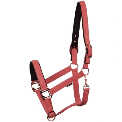Abbildung von Harry&#039;s Horse Halfter Bit Rosa