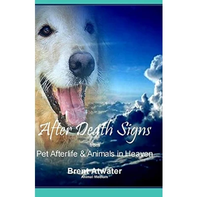 Abbildung von After Death Signs from Pet Afterlife &amp; Animals in Heaven: How to Ask for Visits and What it Means
