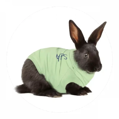 Abbildung von Medical Pet Shirt Kaninchen XS (1,6 2,0 kg)