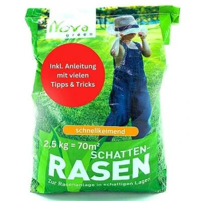Abbildung von Rasensamen schnellkeimend Schattenrasen 2,5kg = 70m² Frühjahr SEHR GUT getestet trockenresistent Rasen Reparatur, Nachsaat, Neuansaat