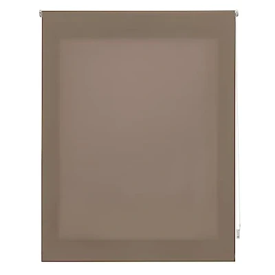 Abbildung von Decorblind Transparentes Rollo, einfarbig, Maße Rollo: 160 x 175 cm, Breite Länge/Maße Stoff, 157 170 lichtdurchlässiges einfache Montage an Wand oder Decke