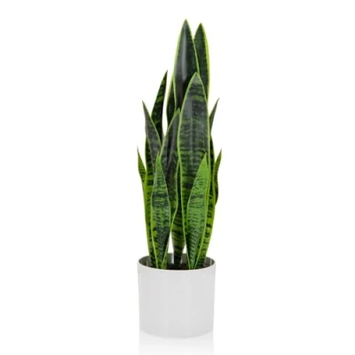 Abbildung von hjh OFFICE Kunstpflanze SANSEVIERIA mit Übertopf Höhe 65 cm Zimmerpflanze Bogenhanf künstlich, 871016
