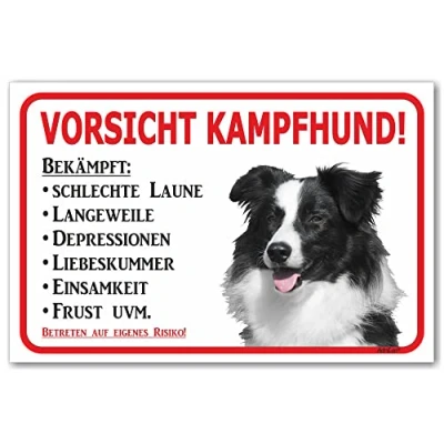 Abbildung von AdriLeo Schild Vorsicht Border Collie Kampfhund (20x30cm) / Achtung Hund Wachhund Hütehund Hirtenhund