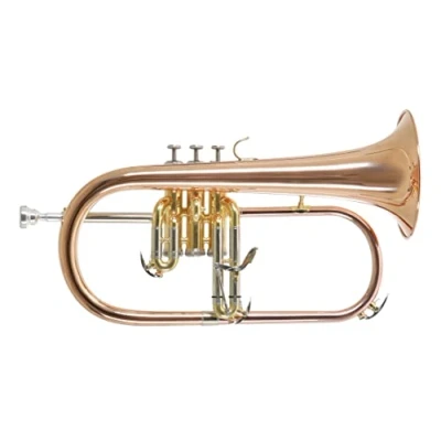 Abbildung von Roy Benson Bb Flügelhorn FH 302G (mit 11mm MS Bohrung, Goldmessing Schallstück, Edelstahl Ventilen, inkl. leichtem Rechtecketui, mit Rucksackfunktion, Größe: 6&quot;), lackiert