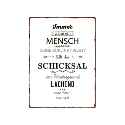 Abbildung von Interluxe WANDSCHILD Metallschild Immer WENN EIN Mensch Seine Zukunft Plant Shabby Vintage