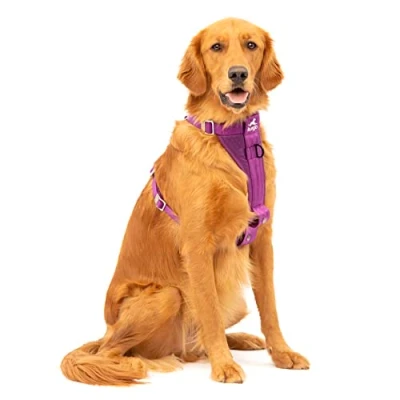 Abbildung von Kurgo TRU Fit Hundegeschirr, Crash Test erprobtes Auto Sicherheitsgurt, Für Hunde von 2 bis 5 kg, Größe XL, Lila