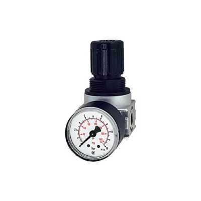 Abbildung von RIEGLER 100342 R 06 6 Druckregler »multifix mini« inkl. Mano, BG 0, G 1/4, 0,2 bar, 1Stk