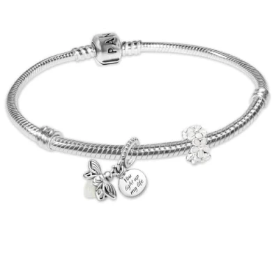 Abbildung von Pandora Charm Armband Silber Geschenk Set Glühwürmchen und Gänseblümchen