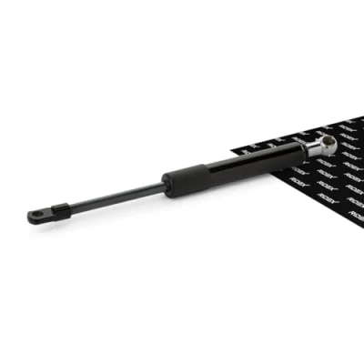 Abbildung von RIDEX 2454G0004 Gasfeder, Heckscheibe BMW: 5 Touring