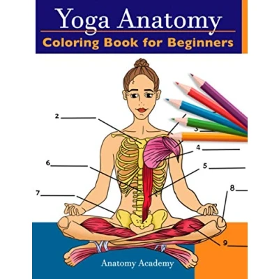 Abbildung von Yoga Anatomy Coloring Book for Beginners: 50+ Incredibly Detailed Self Test Beginner Poses Color workbook Perfect Gift Instructors, Teachers &amp; Enthusiasts