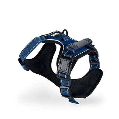 Abbildung von lionto Hunde Geschirr Hundegeschirr gepolstert und reflektierend, blau, Größe S