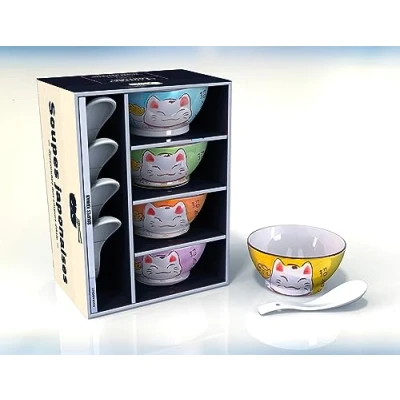Abbildung von Coffret soupes japonaises: Contient : 4 bols, cuillères et 1 livre de recettes