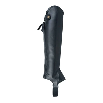 Abbildung von Ariat Concord Minichaps