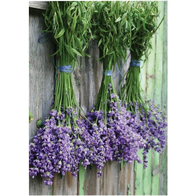 Abbildung von Art for the home Leinwandbild &quot;Outdoor Lavendel 50x70cm&quot;, (1 St.)