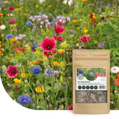 Abbildung von Blumensamen Bienen und Hummelmischung ein mehrjährig 250 Gramm ±125 m² MRS Seeds &amp; Mixtures