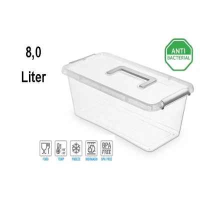 Abbildung von NANO BOX mit Deckel, Clips und Griffen / antibakterielle Wirkung 8,0 Liter 40 x 20 16,5cm Klar/Silber/Glitter