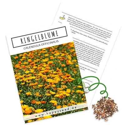 Abbildung von Ringelblumen Samen (Calendula Officinalis) Vielseitige Heilpflanze mit essbaren Blüten &amp; ideal für eine bunte Blumenwiese (Gelb/Orange)