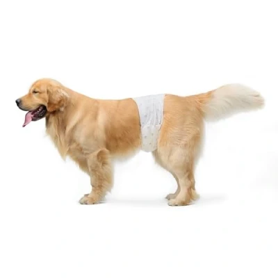 Abbildung von Amazon Basics Hundewindel für Rüden, Einwegwindeln, Größe L, Weiß, 50 Stück