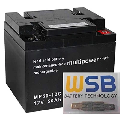 Abbildung von 2X AGM 12V / 50Ah Blei Akku MP50 12C Zyklenfest kompatibel WP50 12NE, 12LCP 50, REC50 12I + WSB Adapter