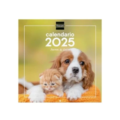 Abbildung von Finocam Wandbilder, 30 x cm, zum Schreiben 2025, Monatsansicht, Januar Dezember 2025 (12 Monate), Hunde und Katzen, Spanisch