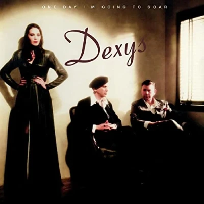 Abbildung von One Day I&#039;M Going to Soar [Vinyl LP]