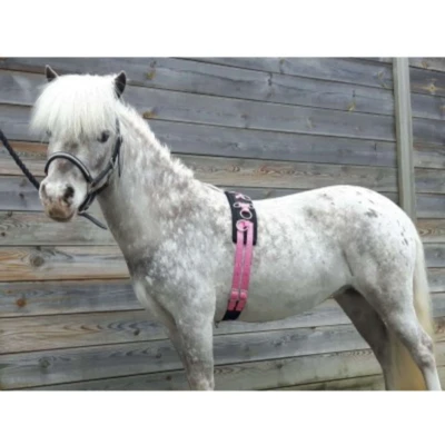 Abbildung von HB Longiergurt Little Sizes Rosa Minishetland