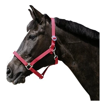 Abbildung von Kerbl Halfter Nylonhalfter Classic, Rot, 2, 32112