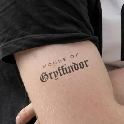 Abbildung von Harry Potter House of Gryffindor