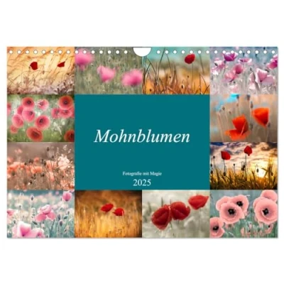 Abbildung von Mohnblumen Fotografie mit Magie (Wandkalender 2025 DIN A4 quer), CALVENDO Monatskalender