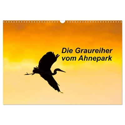 Abbildung von Die Graureiher vom Ahnepark (Wandkalender 2025 DIN A3 quer), CALVENDO Monatskalender