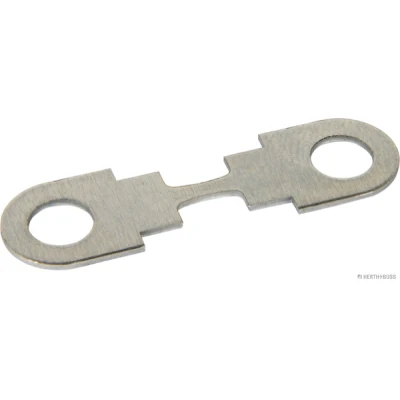 Abbildung von Sicherung HERTH+BUSS ELPARTS 50295018