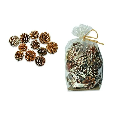 Abbildung von Riffelmacher &amp; Weinberger Zapfenmischung Schwarzkiefer Natur/weiß 5 cm Zapfen Deko Weihnachten Winter Weihnachtsdeko Tischdeko Dekozapfen