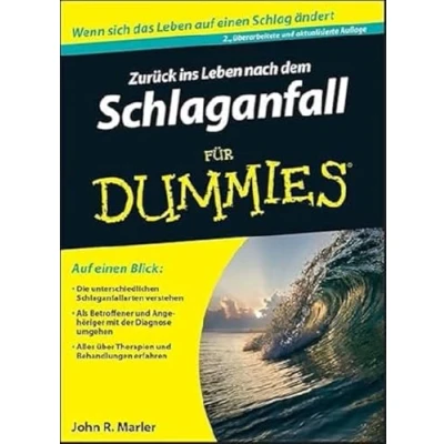Abbildung von Zurück ins Leben nach dem Schlaganfall für Dummies