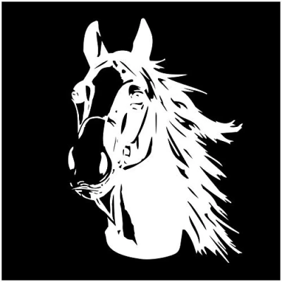 Abbildung von Finest Folia Aufkleber Pferd Pferdekopf Sticker für Auto Anhänger LKW Pferde Autoaufkleber Dekor Pferdemotiv Tiermotiv KX047 (Weiß Glanz, 70x50 cm)