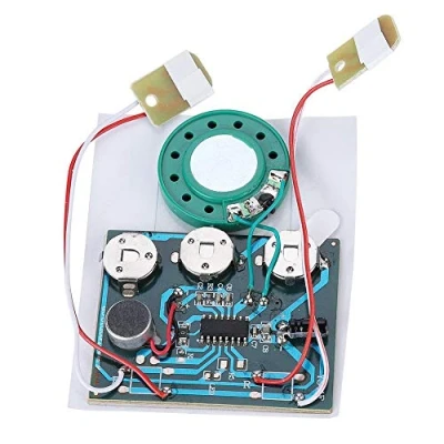 Abbildung von Musikalisches Audio Radio Rekorder Tonaufzeichnungsmodul, aufnehmbarer Musik Ton Sprachmodul Chip, DIY aufnehmbare Grußkarte(Extension Cable Version)