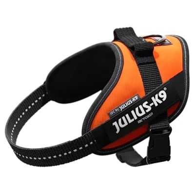 Abbildung von Julius K9 IDC sele, str.: Mini, UV Orange, 49 67 cm